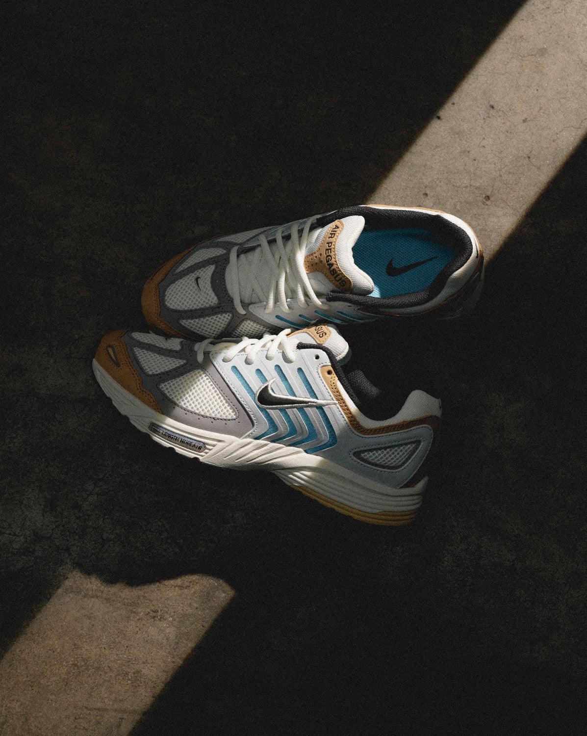 Nike Air Pegasus 2005