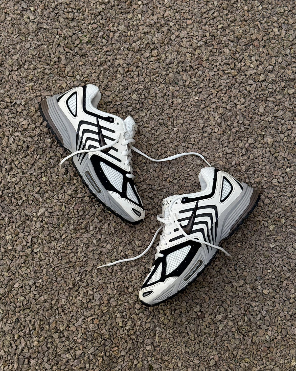 Nike Air Pegasus 2005