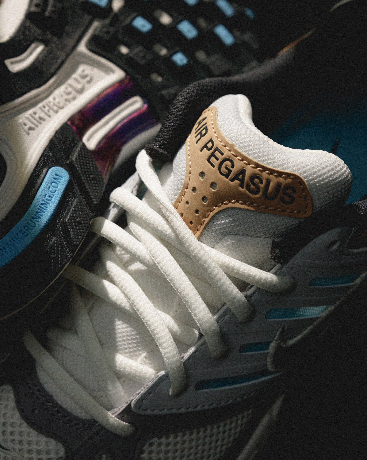 Nike Air Pegasus 2005