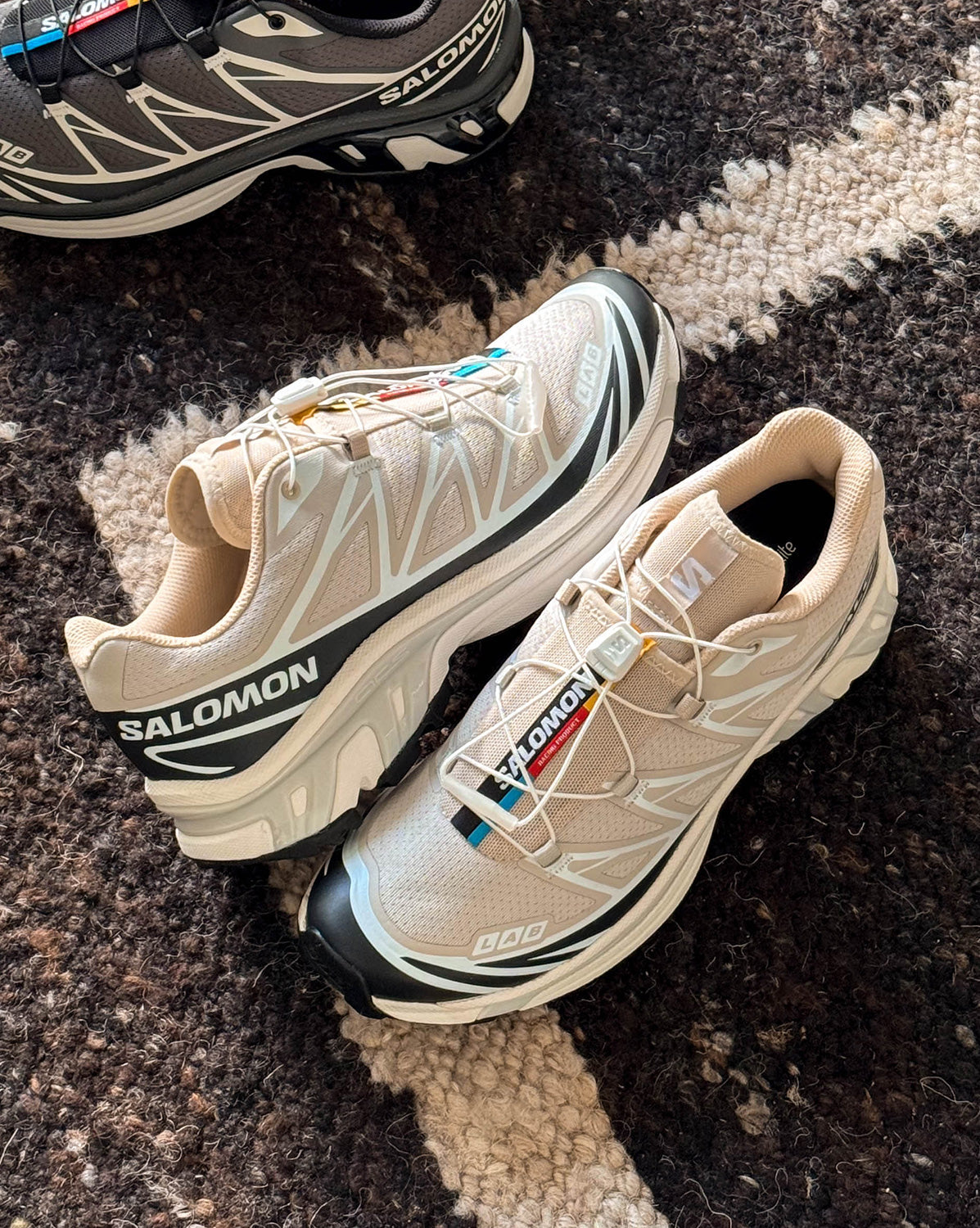Salomon XT-6