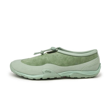 Oregano / Mosaic Green