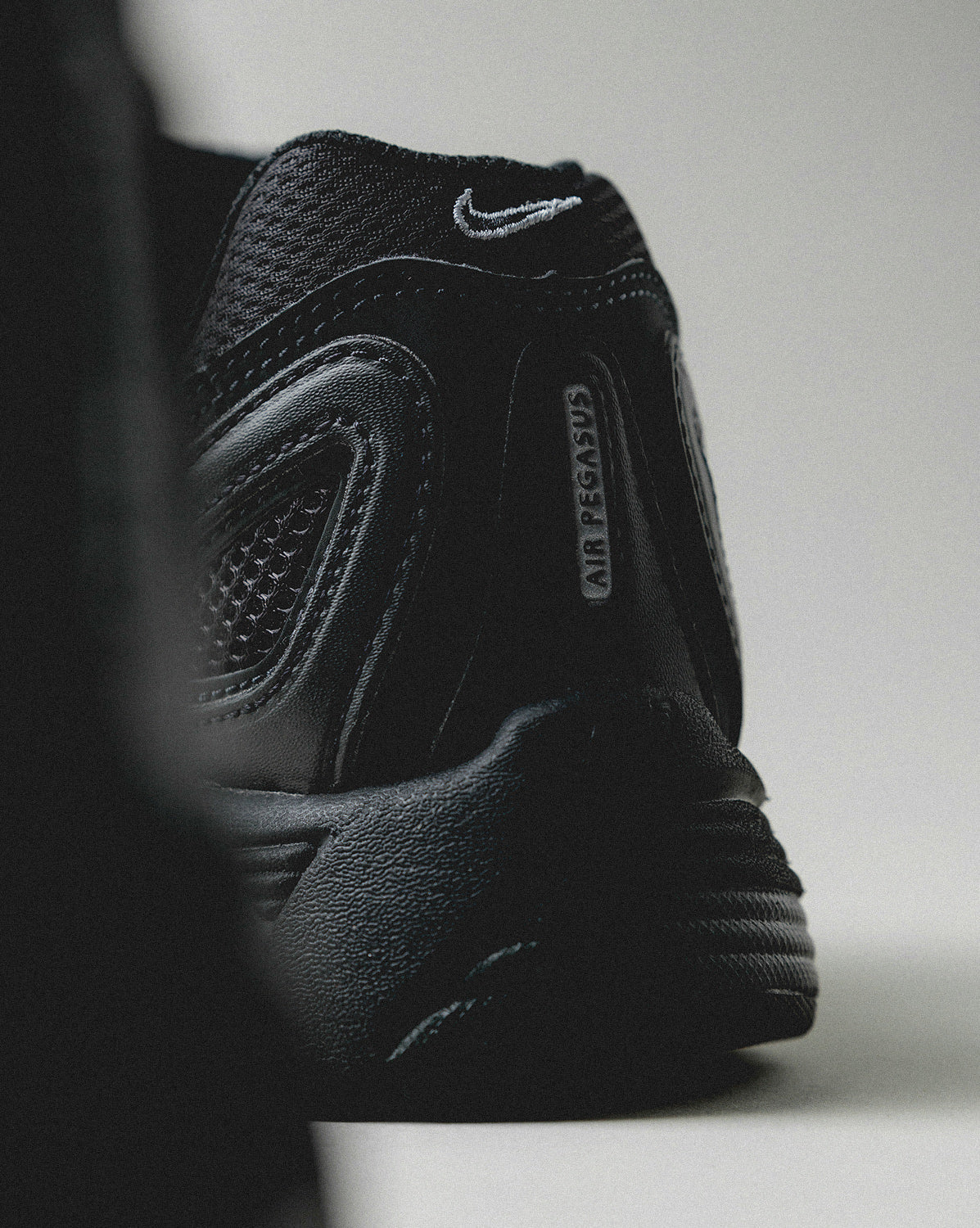 Nike Air Pegasus 2005